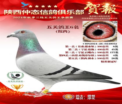 院內(nèi)五關(guān)鴿王6名