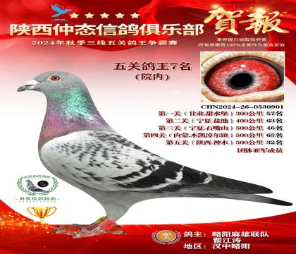 院內(nèi)五關(guān)鴿王7名