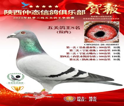 院內(nèi)五關(guān)鴿王8名