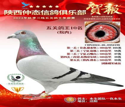 院內(nèi)五關(guān)鴿王10名