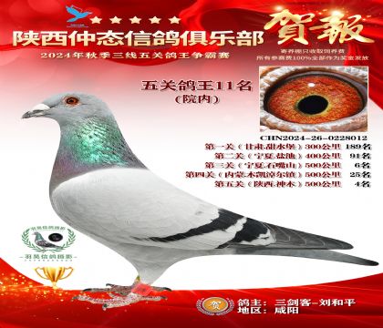 院內(nèi)五關(guān)鴿王11名