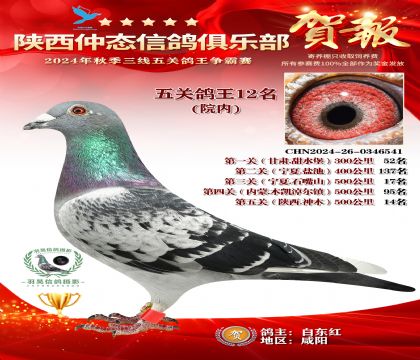 院內(nèi)五關(guān)鴿王12名