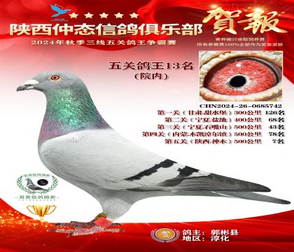 院內(nèi)五關(guān)鴿王13名