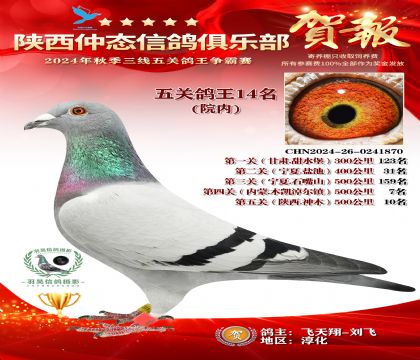 院內(nèi)五關(guān)鴿王14名