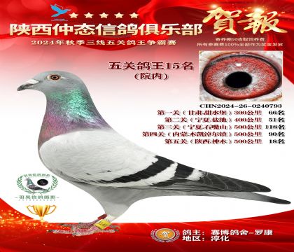院內(nèi)五關(guān)鴿王15名