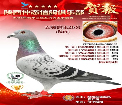 院內(nèi)五關(guān)鴿王20名