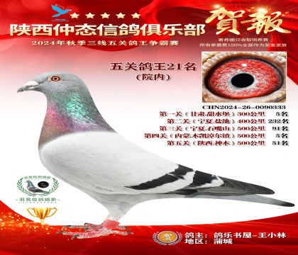 院內(nèi)五關(guān)鴿王21名
