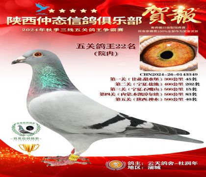 院內(nèi)五關(guān)鴿王22名