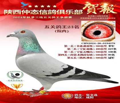 院內(nèi)五關(guān)鴿王23名