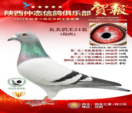 院內(nèi)五關(guān)鴿王24名
