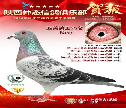 院內(nèi)五關(guān)鴿王25名