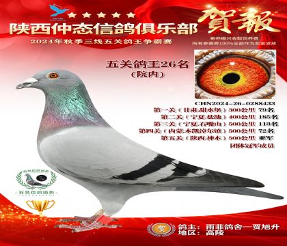 院內(nèi)五關(guān)鴿王26名