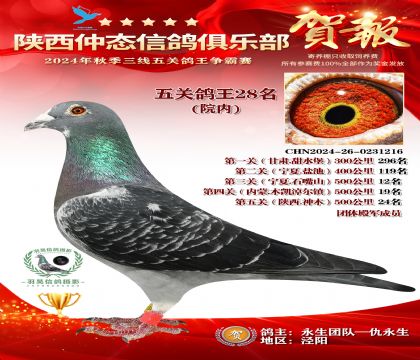 院內(nèi)五關(guān)鴿王28名