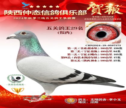 院內(nèi)五關(guān)鴿王29名