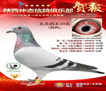 院內(nèi)五關(guān)鴿王30名