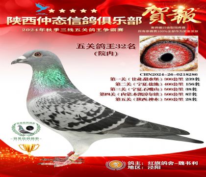 院內(nèi)五關(guān)鴿王32名