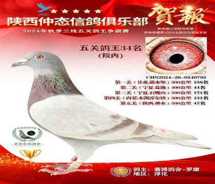 院內(nèi)五關(guān)鴿王34名