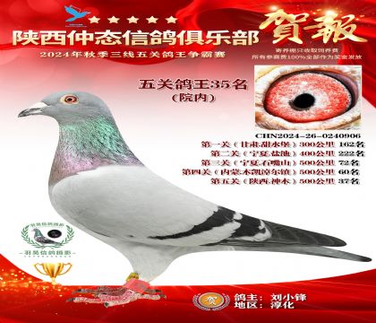 院內(nèi)五關(guān)鴿王35名