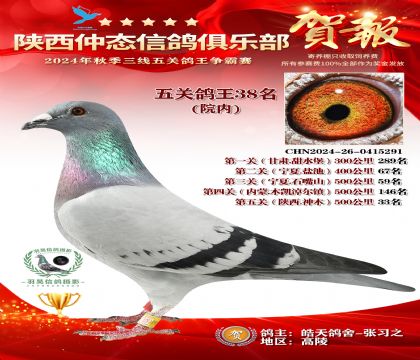 院內(nèi)五關(guān)鴿王38名