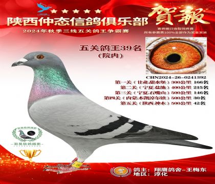 院內(nèi)五關(guān)鴿王39名