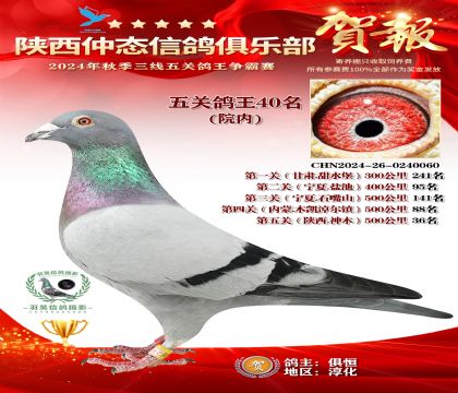 院內(nèi)五關(guān)鴿王40名