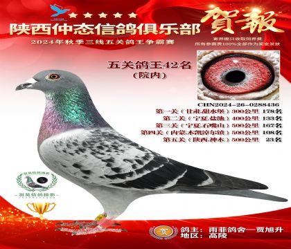 院內(nèi)五關(guān)鴿王42名