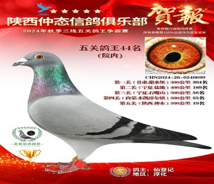 院內(nèi)五關(guān)鴿王44名