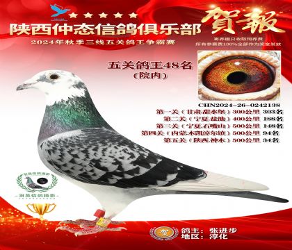 院內(nèi)五關(guān)鴿王48名