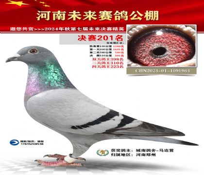 河南未来决赛201名