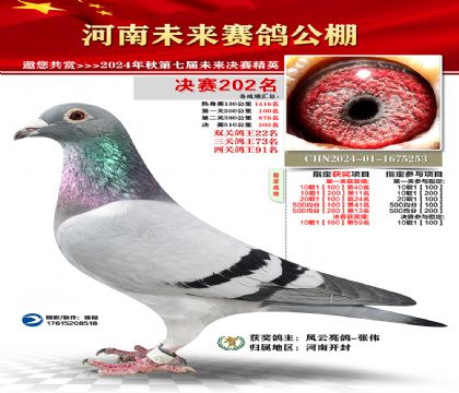 河南未来决赛202名