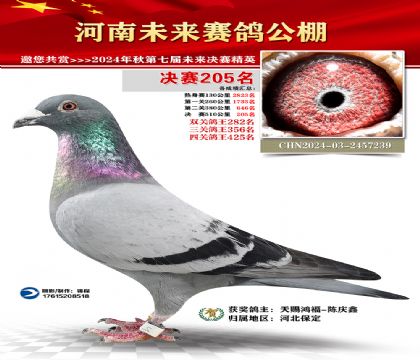 河南未来决赛205名