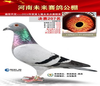 河南未来决赛207名