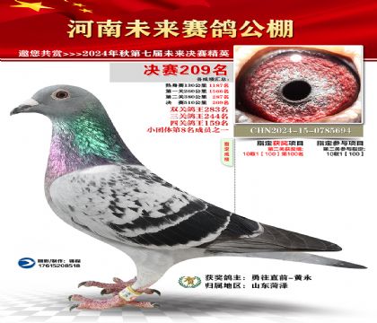 河南未来决赛209名