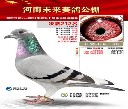 河南未来决赛212名