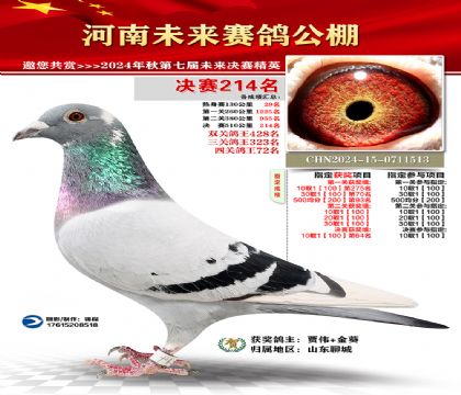河南未来决赛214名