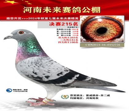河南未来决赛215名
