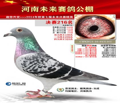 河南未来决赛216名