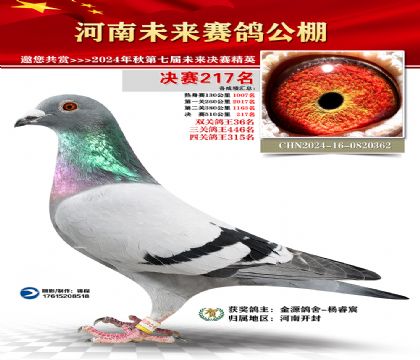 河南未来决赛217名
