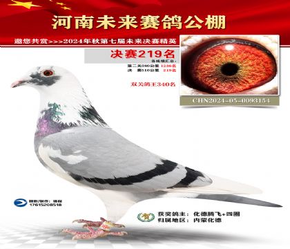 河南未来决赛219名