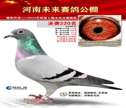 河南未来决赛220名