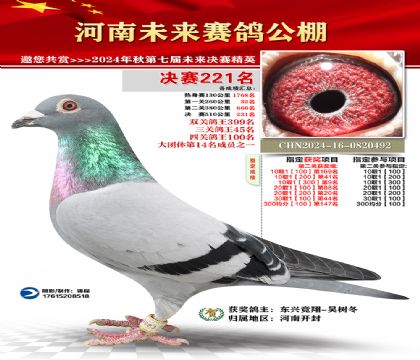 河南未来决赛221名