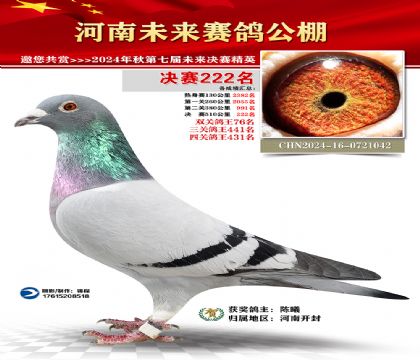 河南未来决赛222名