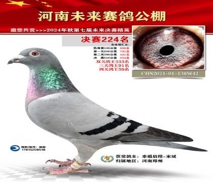 河南未来决赛224名