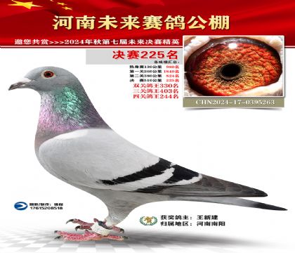 河南未来决赛225名