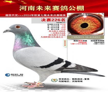 河南未来决赛226名
