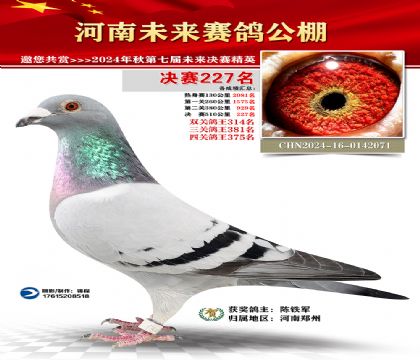 河南未来决赛227名