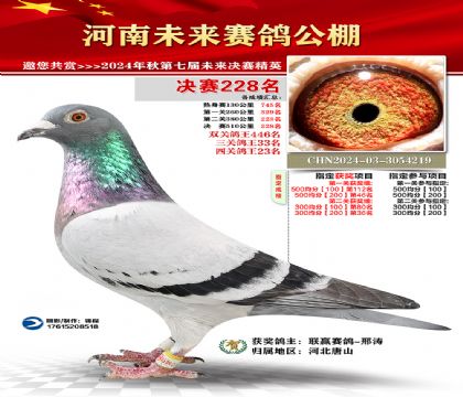 河南未来决赛228名