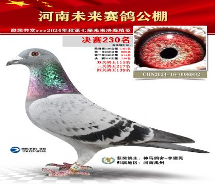 河南未来决赛230名
