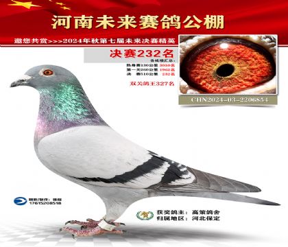 河南未来决赛232名