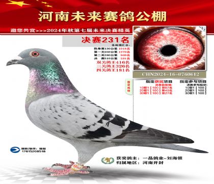 河南未来决赛231名